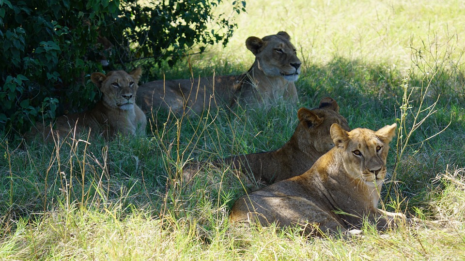 Autotour Zimbabwe (2)