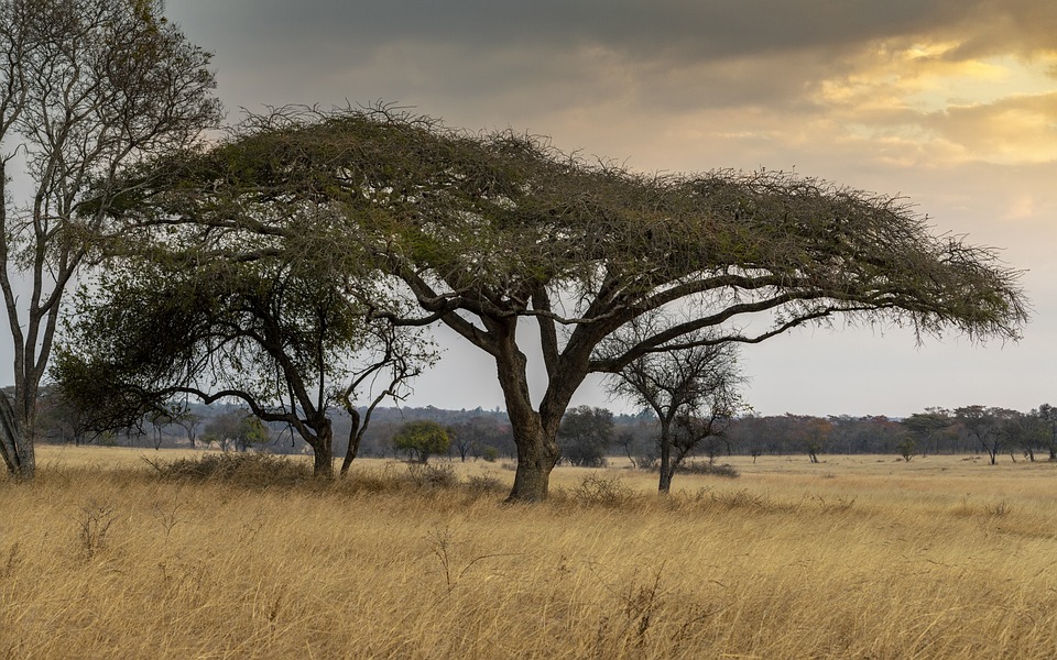 Autotour Zimbabwe (3)