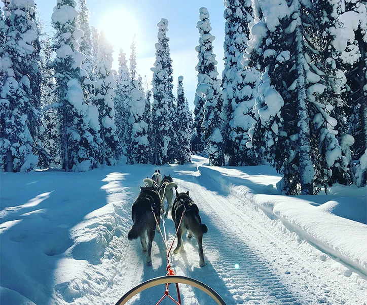Finlande - séjour multiactivité à Ivalo (8)