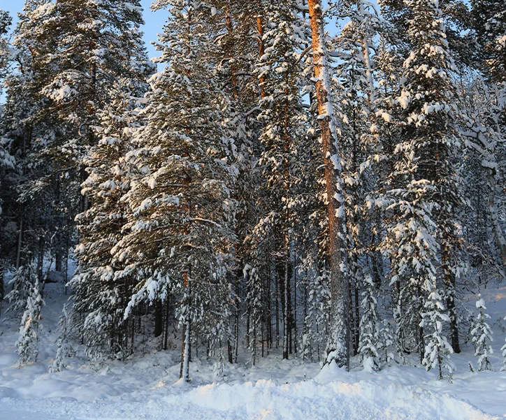 Finlande - séjour multiactivité à Ivalo (9)