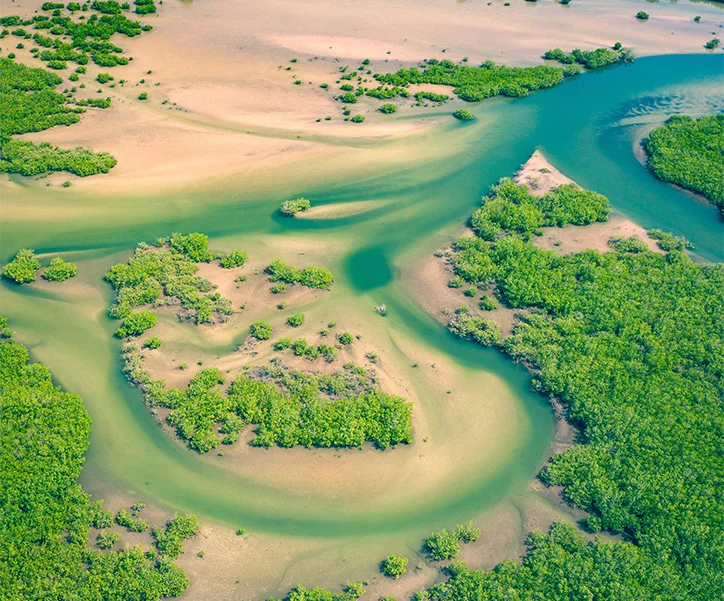 circuit à la découverte du sénégal (2)