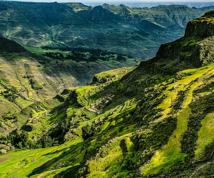 circuit ethiopie aux pays des origines (4)