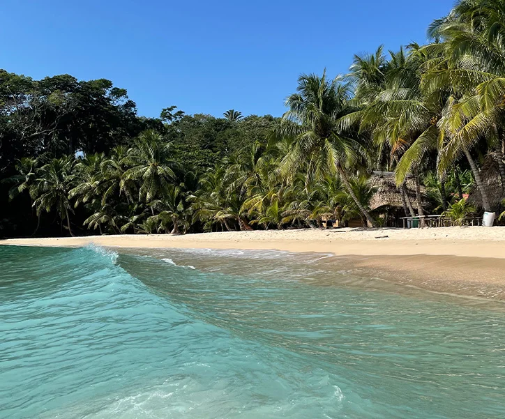 circuit plongé à utila (1)