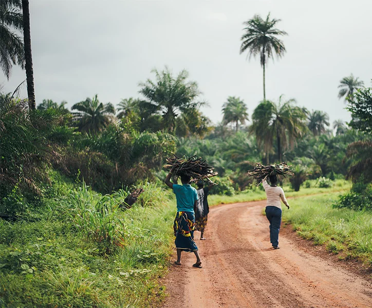 circuit sierra leone (6)