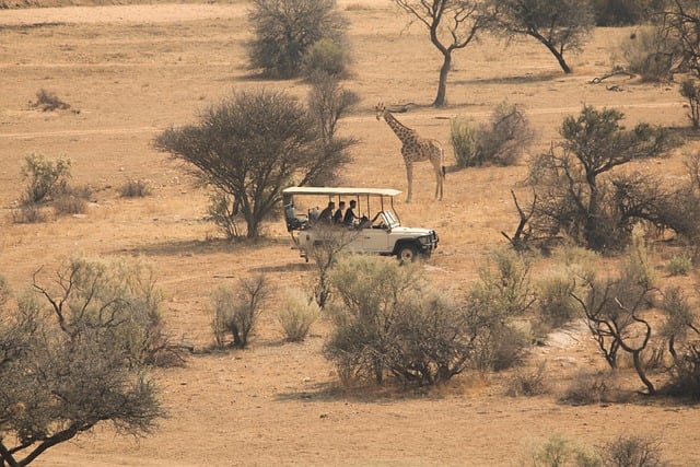 Afrique du Sud – Le Cap, safari et plage 3