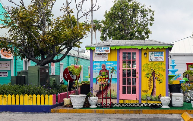 Bahamas – Combiné « NassauAndros Charme & Robinson » (1)