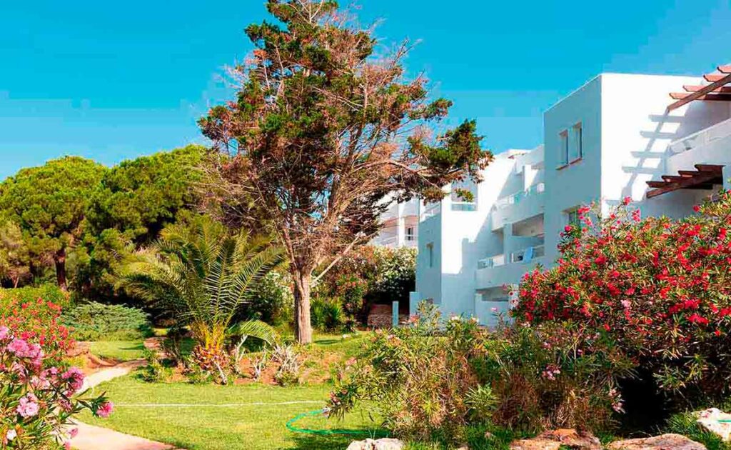 Baléares – Hôtel Palia Puerto Del Sol 3 – Palma de Majorque (5)