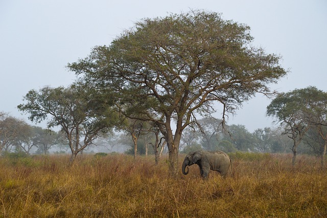 Bénin – A la découverte du Bénin 2