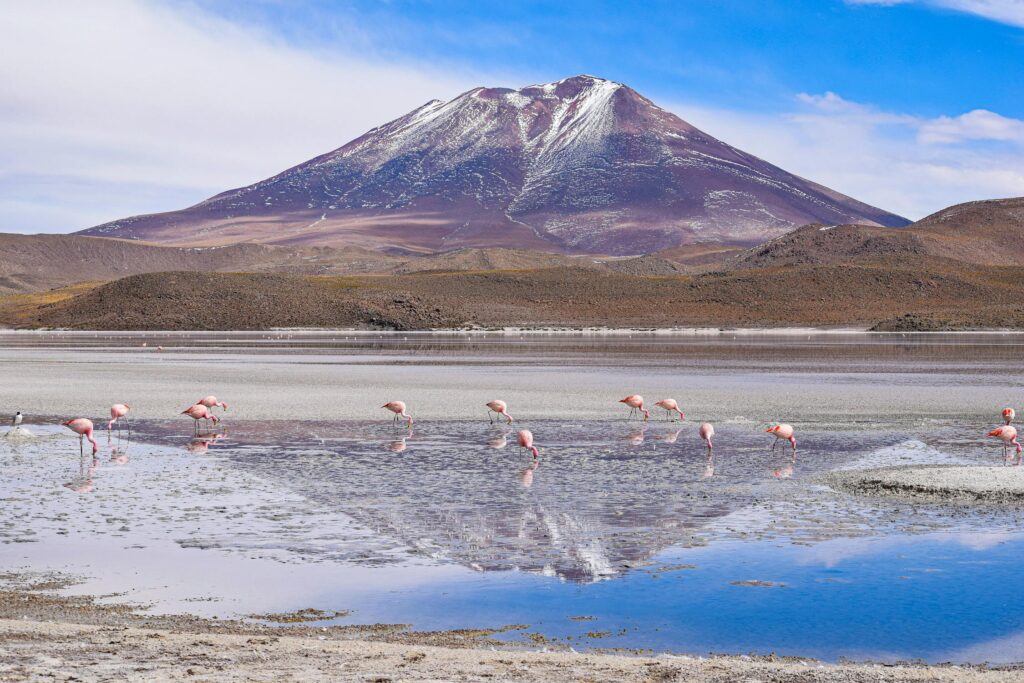 Bolivie – Entre Lagunes et Salar (4)