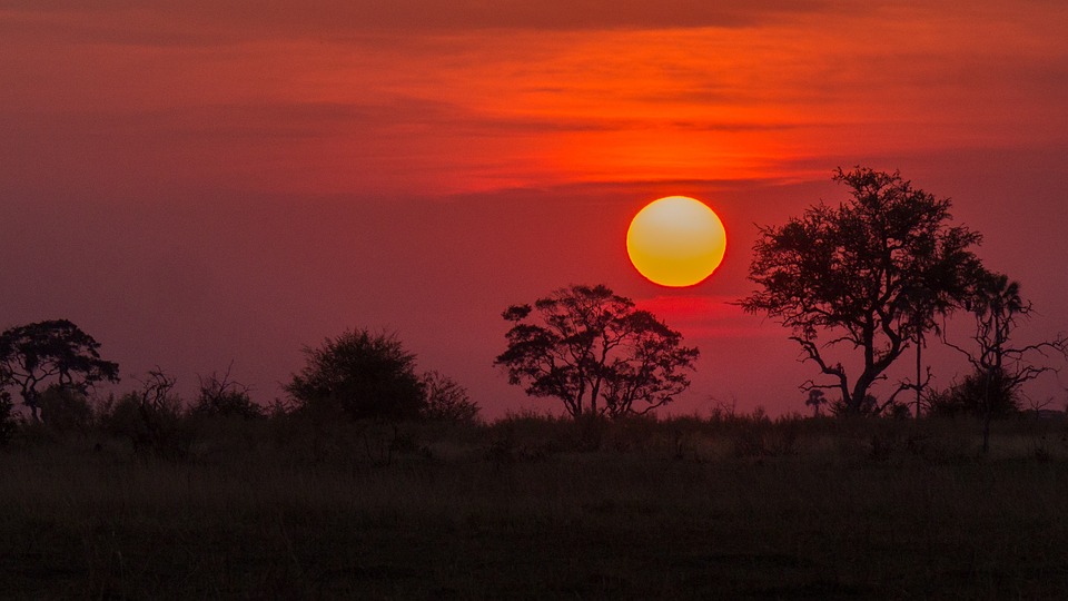 Botswana – Au cœur du Botswana (4)