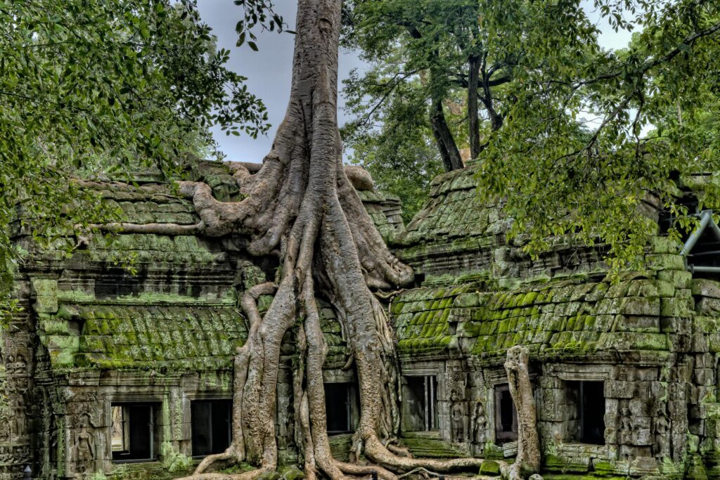 Cambodge – À la découverte du Cambodge (3)