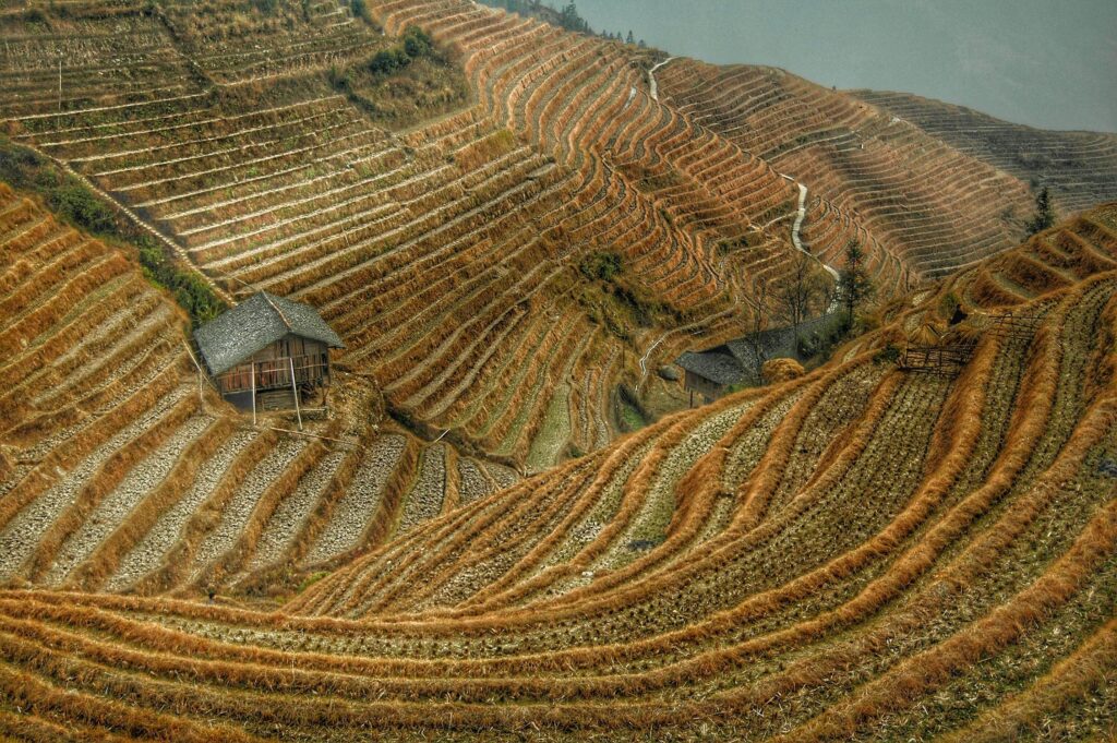 Chine – Trésors de Chine (1)