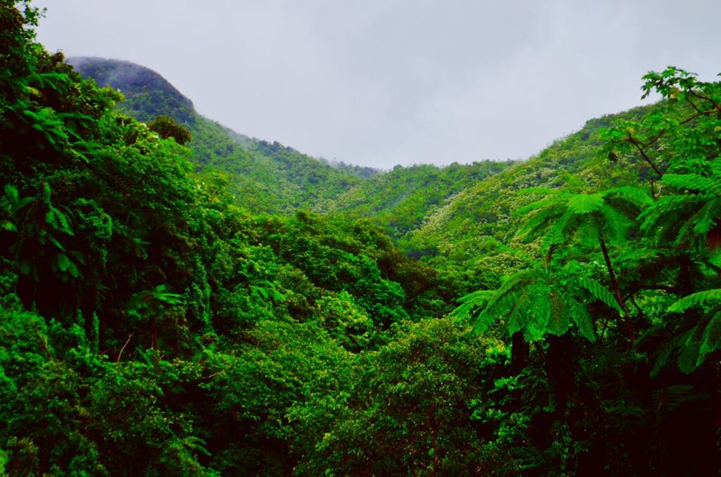 El Salvador – Villes coloniales et sites Mayas (1)