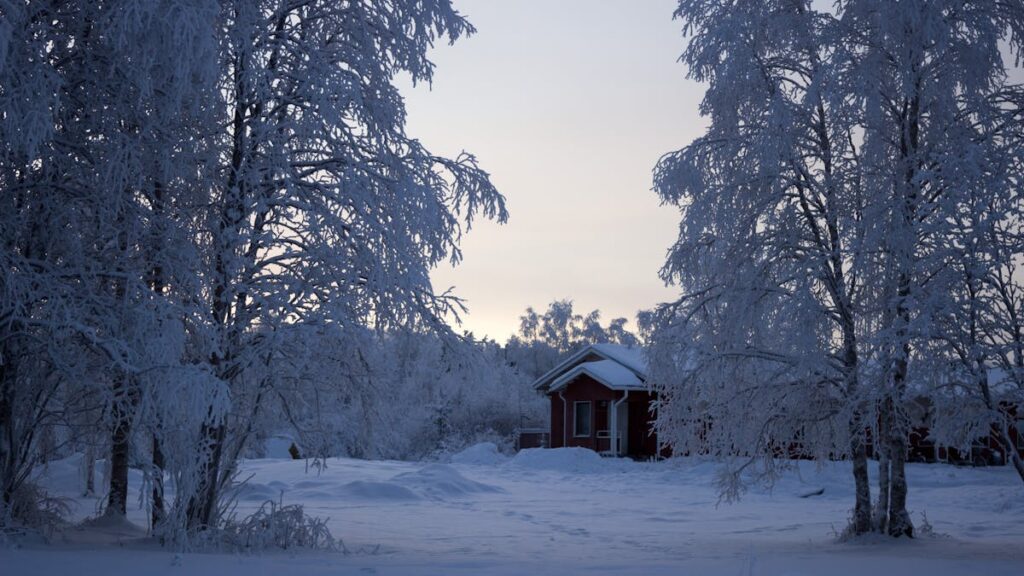 Finlande – Les chalets du Père Noël – Rovaniemi (2)