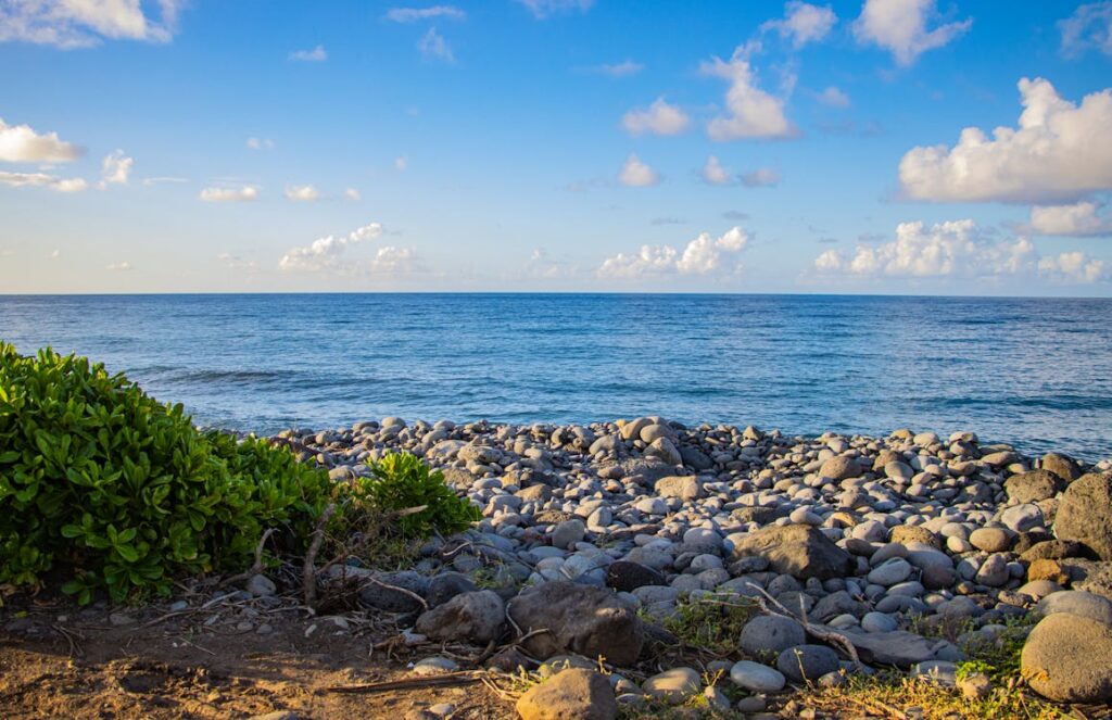 Ile de la Réunion – Autotour Combaya (2)