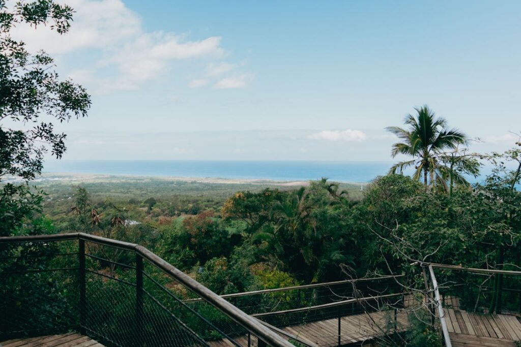 Ile de la Réunion – Autotour Combaya (3)