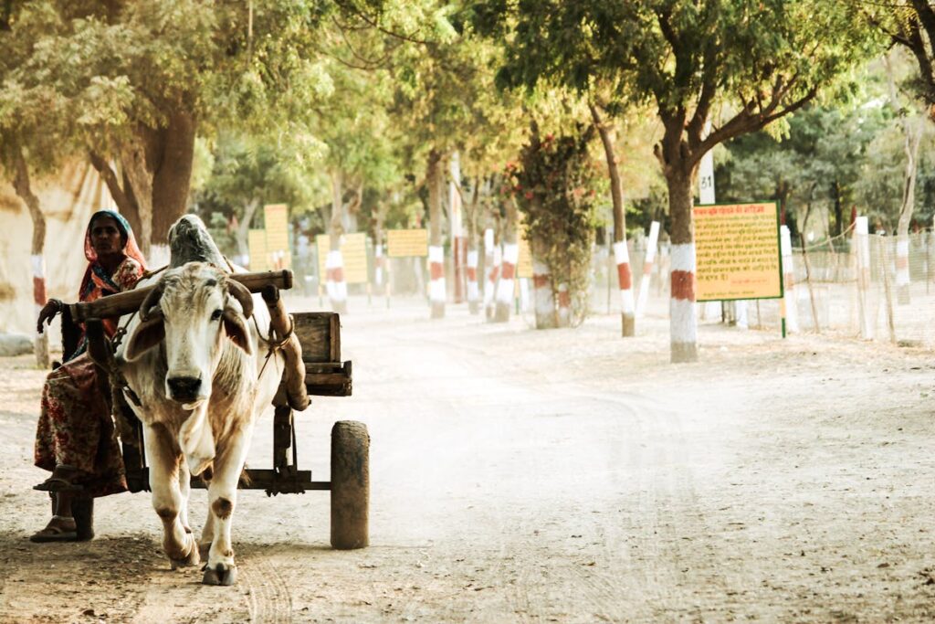 Inde – Au pays des Maharadjahs (1)