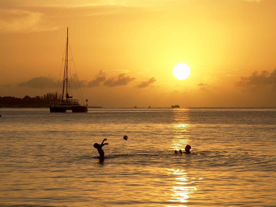 Jamaïque – D’île en safari (2)
