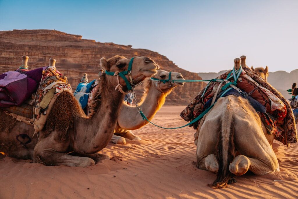 Jordanie – Patrimoine Jordanien (2)