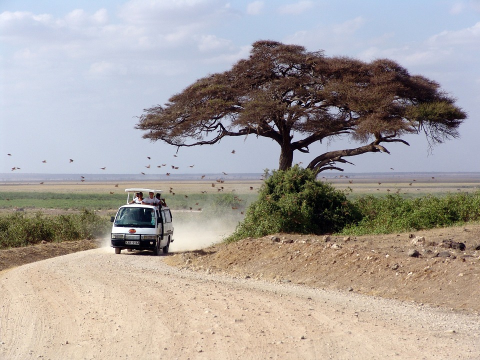 Kenya – Safari Train (3)