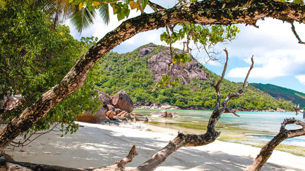 Les Seychelles – Domaine de la réserve 3 – Praslin (2)
