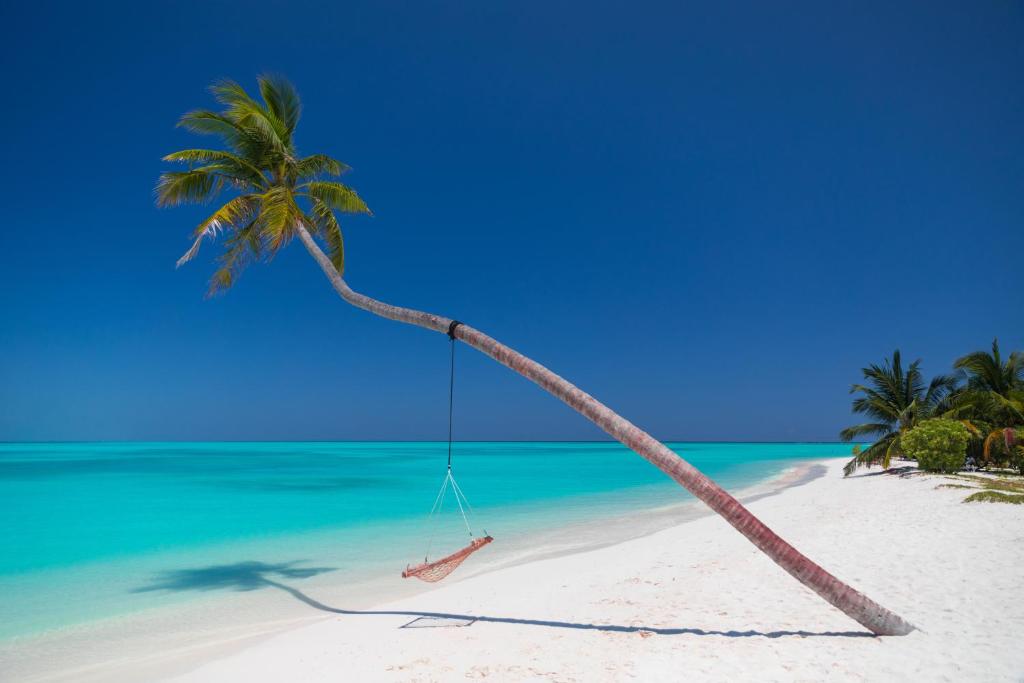 Maldives – Hôtel Holiday Island Resort & Spa 4 – Dhiffushi (1)
