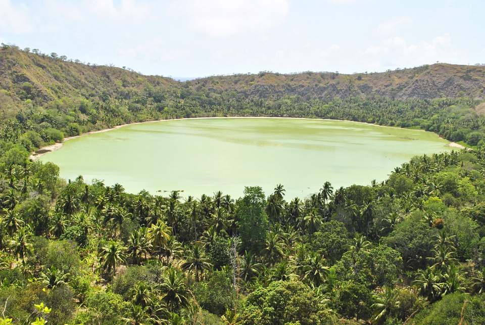 Mayotte – Plongées à Petite Terre et Grande Terre (2)