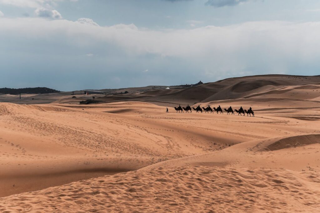 Mongolie – Vallée de l’Orkhon & Steppes Mongole (3)