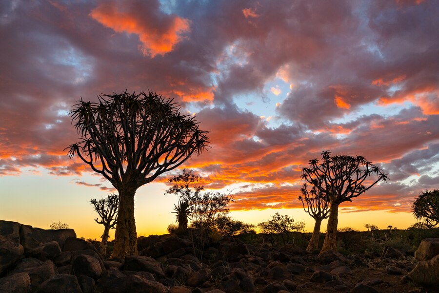 Namibie – Pays Himba, dunes et réserves (4)