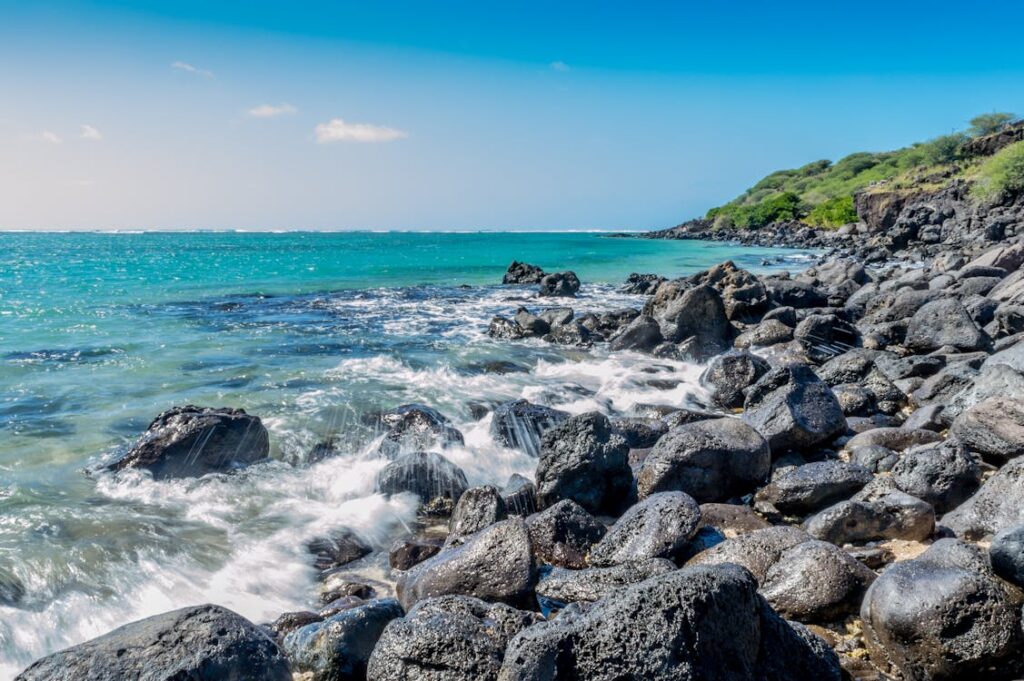 Rodrigues Paysage (1)