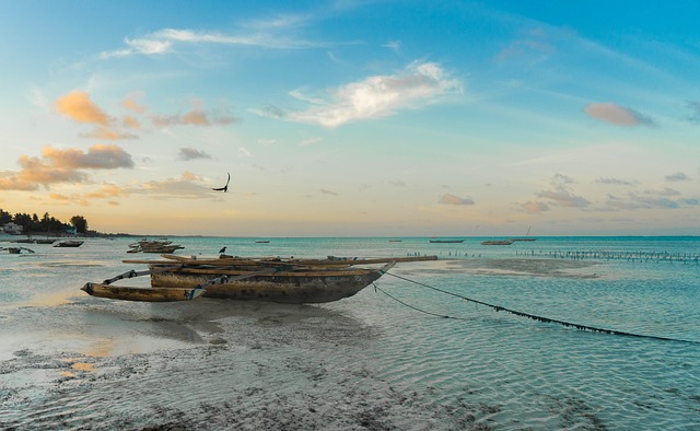 Tanzanie – Combiné de Tanzanie et Zanzibar (5)