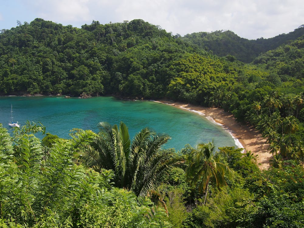 Trinité & Tobago – Facettes sauvages de la Caraïbe (1)