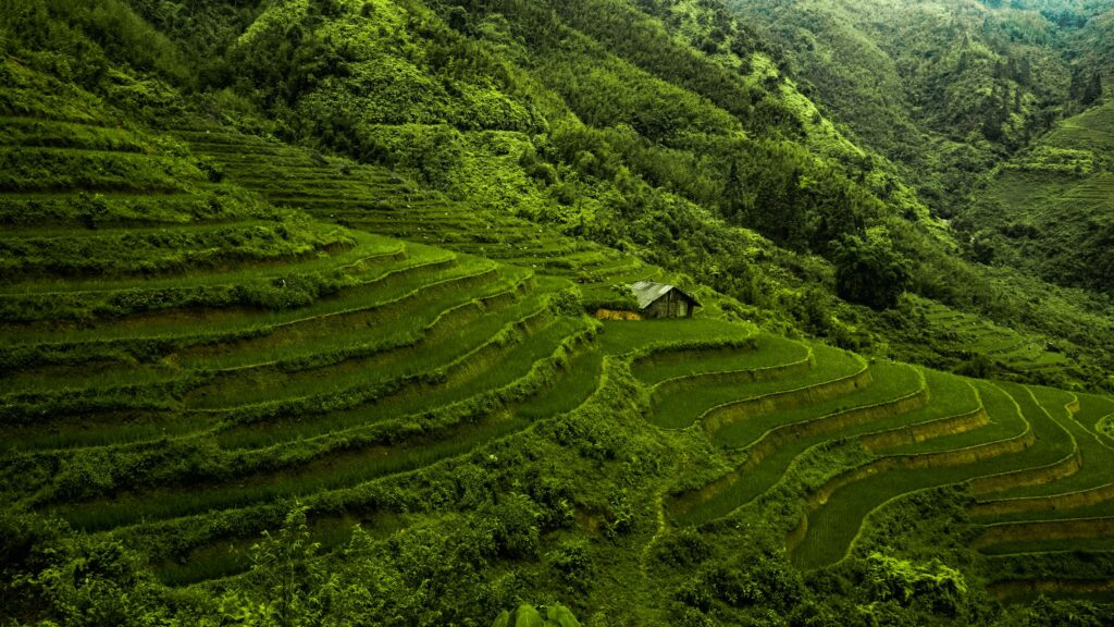 Vietnam – Le Vietnam et ses immanquables + AngkorVietnam (3)