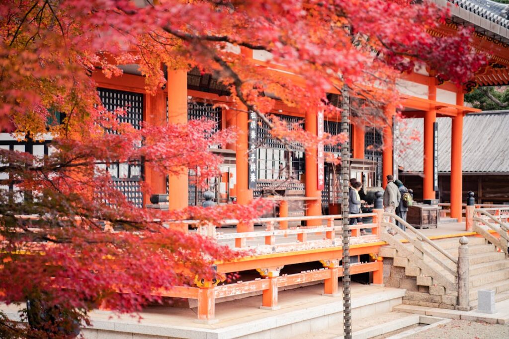 apon – Japon en liberté (3)